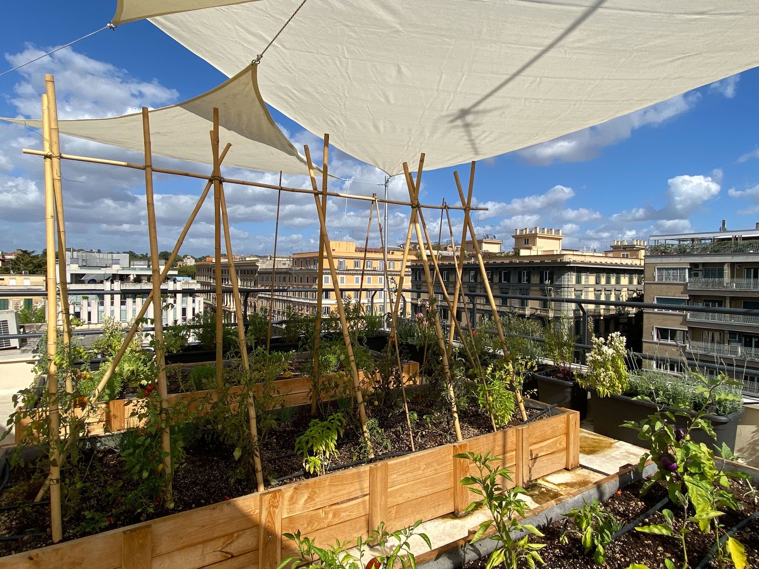 “A ROMA - Sul tetto, in cassoni" I Gardenia I Orti e Cucina